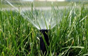 a spray head optimized by our Fairfield sprinkler optimization techs